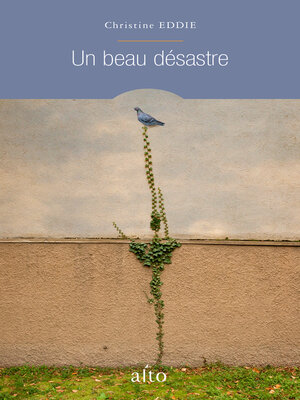 cover image of Un beau désastre